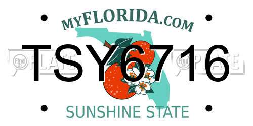 TSY6716 Florida License Plate