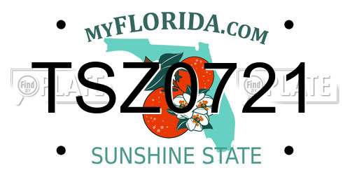 TSZ0721 Florida License Plate
