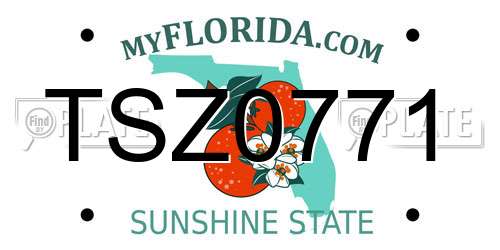 TSZ0771 Florida License Plate