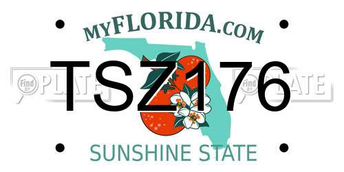 TSZ176 Florida License Plate