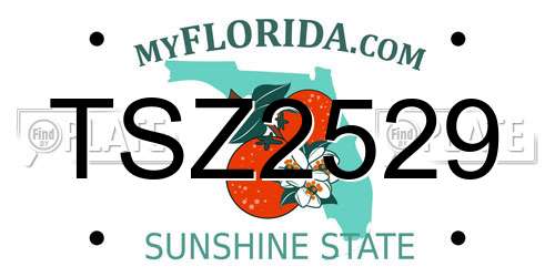 TSZ2529 Florida License Plate