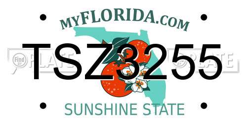 TSZ3255 Florida License Plate
