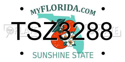 TSZ3288 Florida License Plate