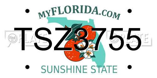 TSZ3755 Florida License Plate