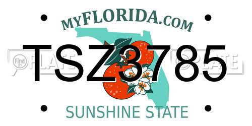 TSZ3785 Florida License Plate