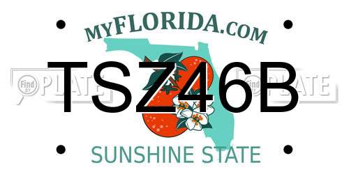 TSZ46B Florida License Plate