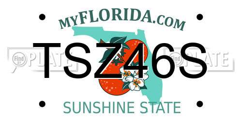 TSZ46S Florida License Plate