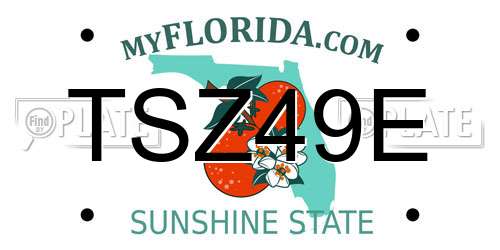TSZ49E Florida License Plate
