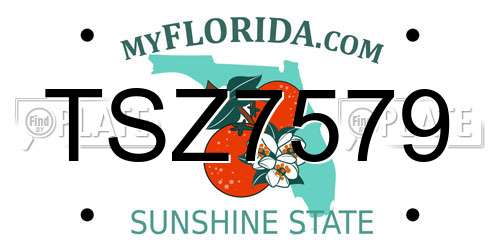 TSZ7579 Florida License Plate