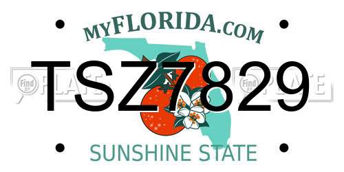 TSZ7829 Florida License Plate