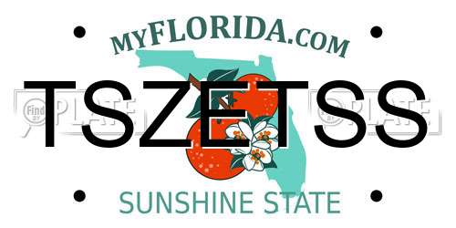 TSZETSS Florida License Plate