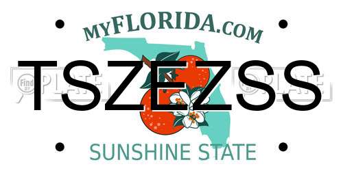 TSZEZSS Florida License Plate