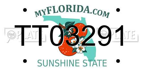 TT03291 Florida License Plate