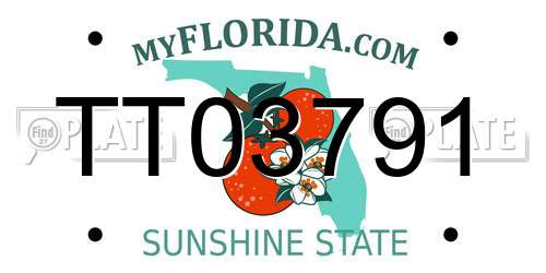 TT03791 Florida License Plate