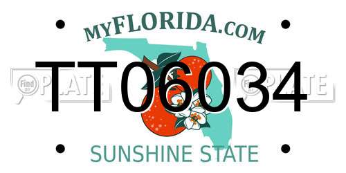 TT06034 Florida License Plate