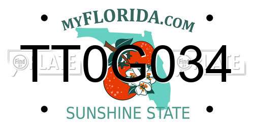 TT0G034 Florida License Plate