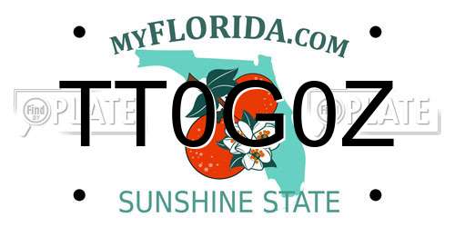 TT0G0Z Florida License Plate