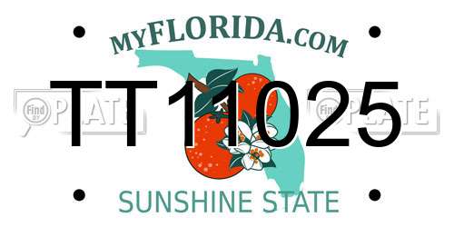 TT11025 Florida License Plate