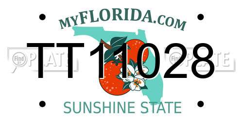 TT11028 Florida License Plate
