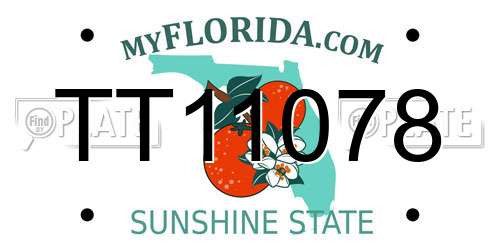 TT11078 Florida License Plate