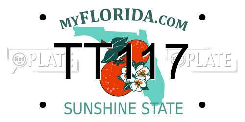 TT117 Florida License Plate