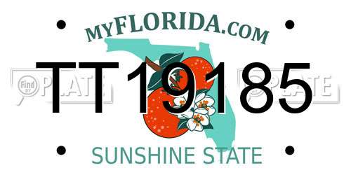 TT19185 Florida License Plate