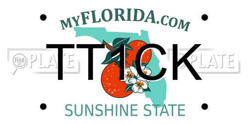 TT1CK Florida License Plate