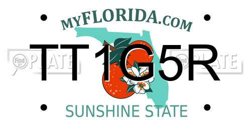 TT1G5R Florida License Plate
