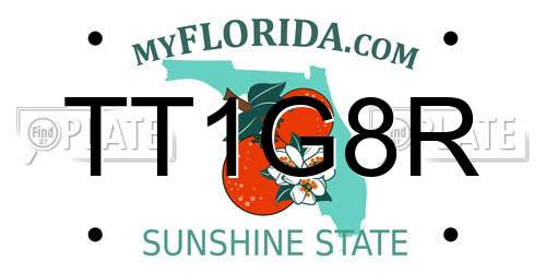 TT1G8R Florida License Plate