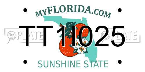 TT1I025 Florida License Plate