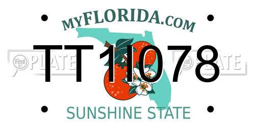 TT1I078 Florida License Plate
