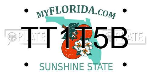 TT1T5B Florida License Plate