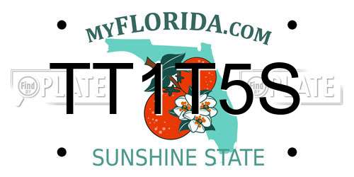 TT1T5S Florida License Plate