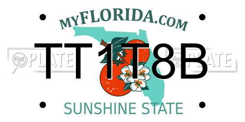 TT1T8B Florida License Plate