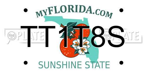 TT1T8S Florida License Plate