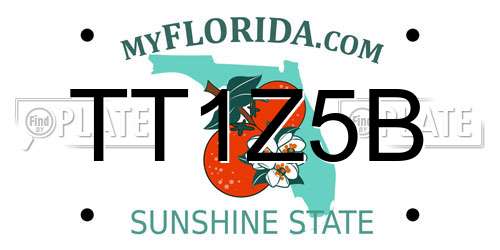 TT1Z5B Florida License Plate