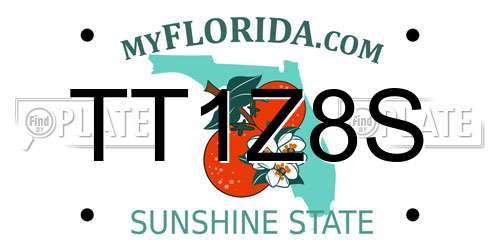TT1Z8S Florida License Plate