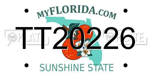 TT20226 Florida License Plate