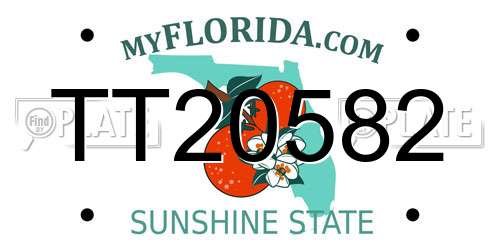 TT20582 Florida License Plate