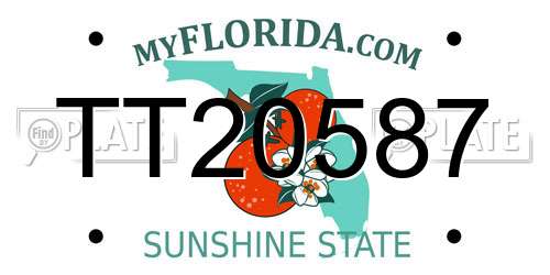 TT20587 Florida License Plate