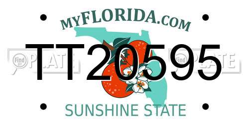 TT20595 Florida License Plate