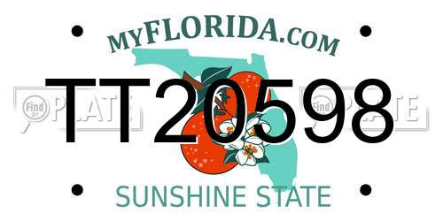 TT20598 Florida License Plate