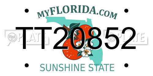 TT20852 Florida License Plate