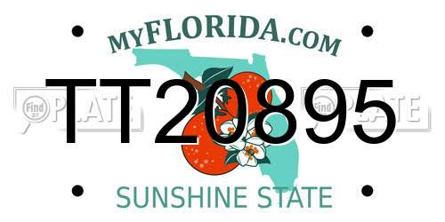 TT20895 Florida License Plate