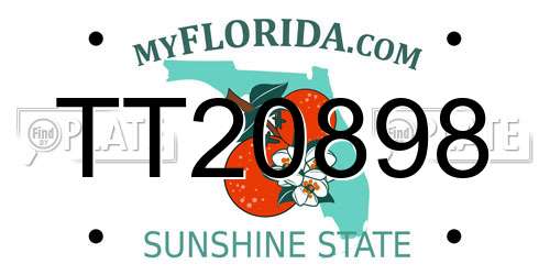 TT20898 Florida License Plate