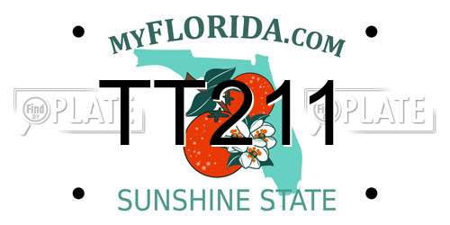 TT211 Florida License Plate