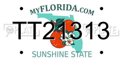 TT21313 Florida License Plate