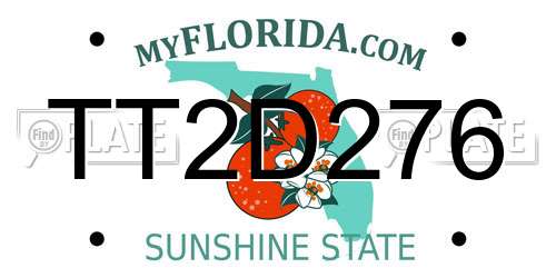 TT2D276 Florida License Plate