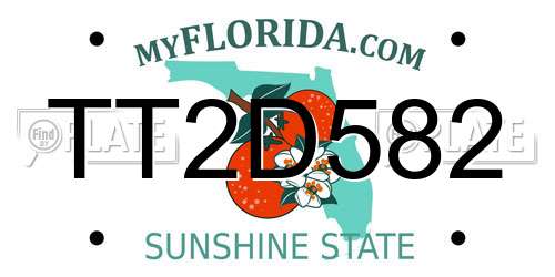 TT2D582 Florida License Plate