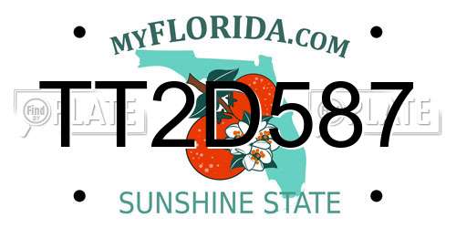 TT2D587 Florida License Plate